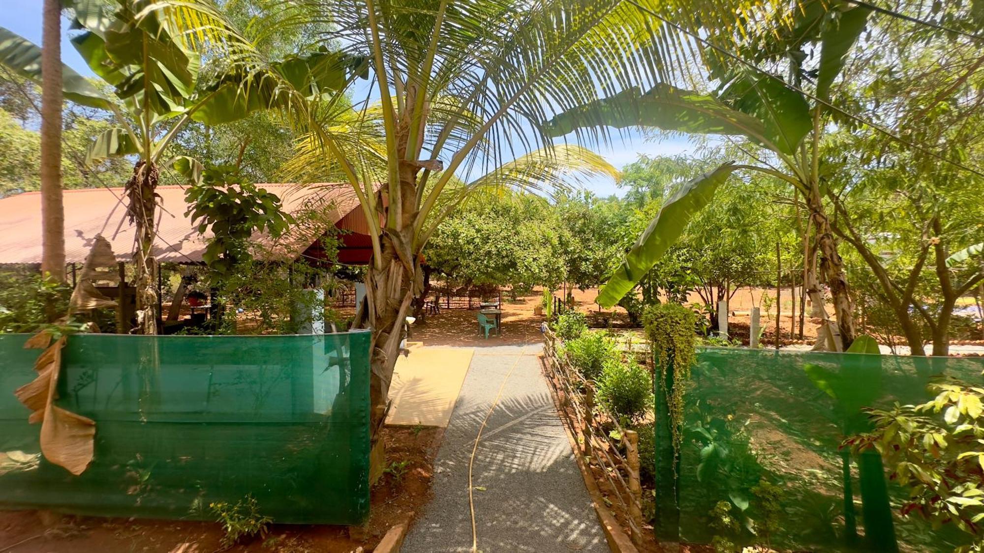 Lotus Garden Guest House Auroville Luaran gambar