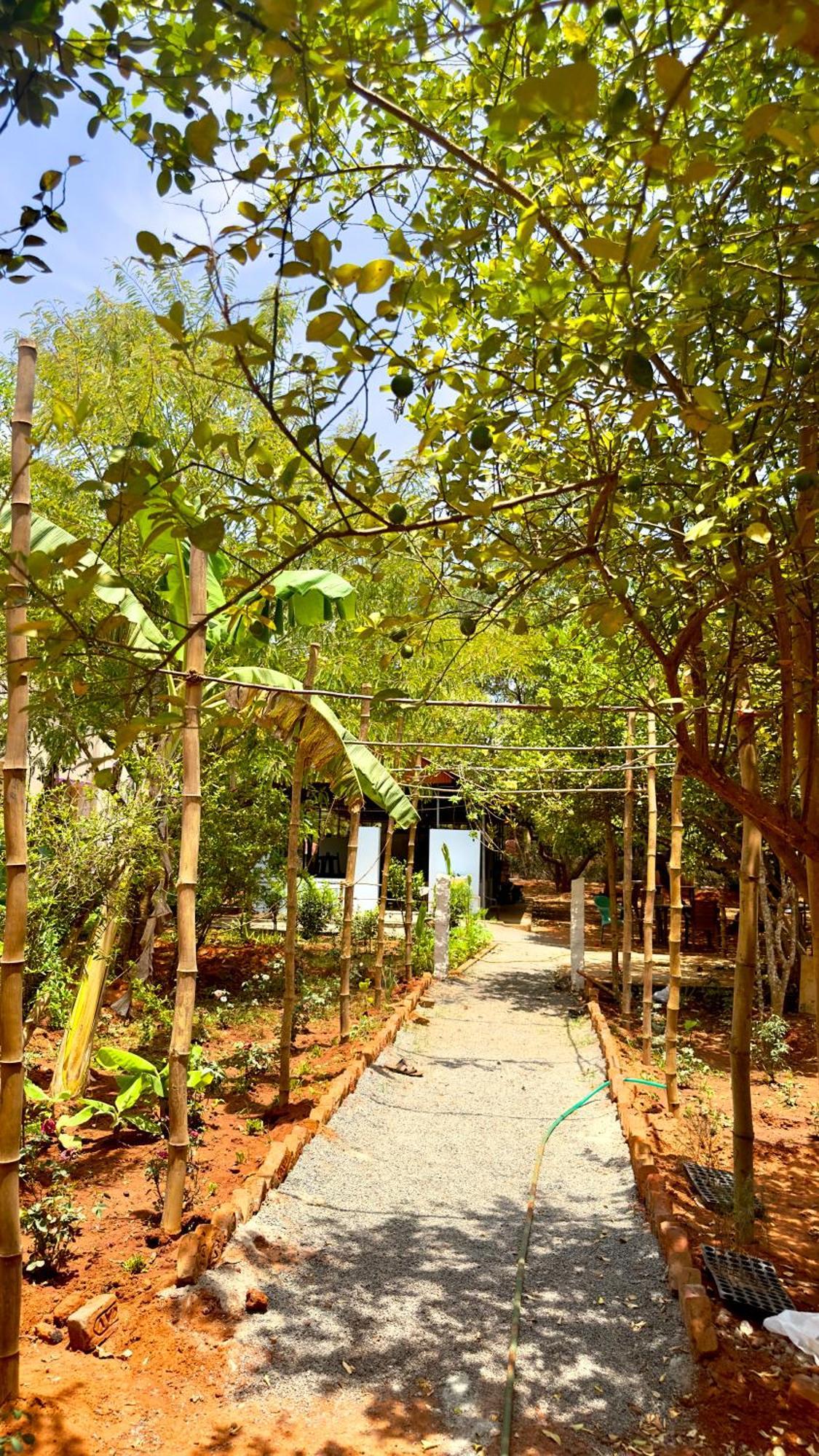 Lotus Garden Guest House Auroville Luaran gambar