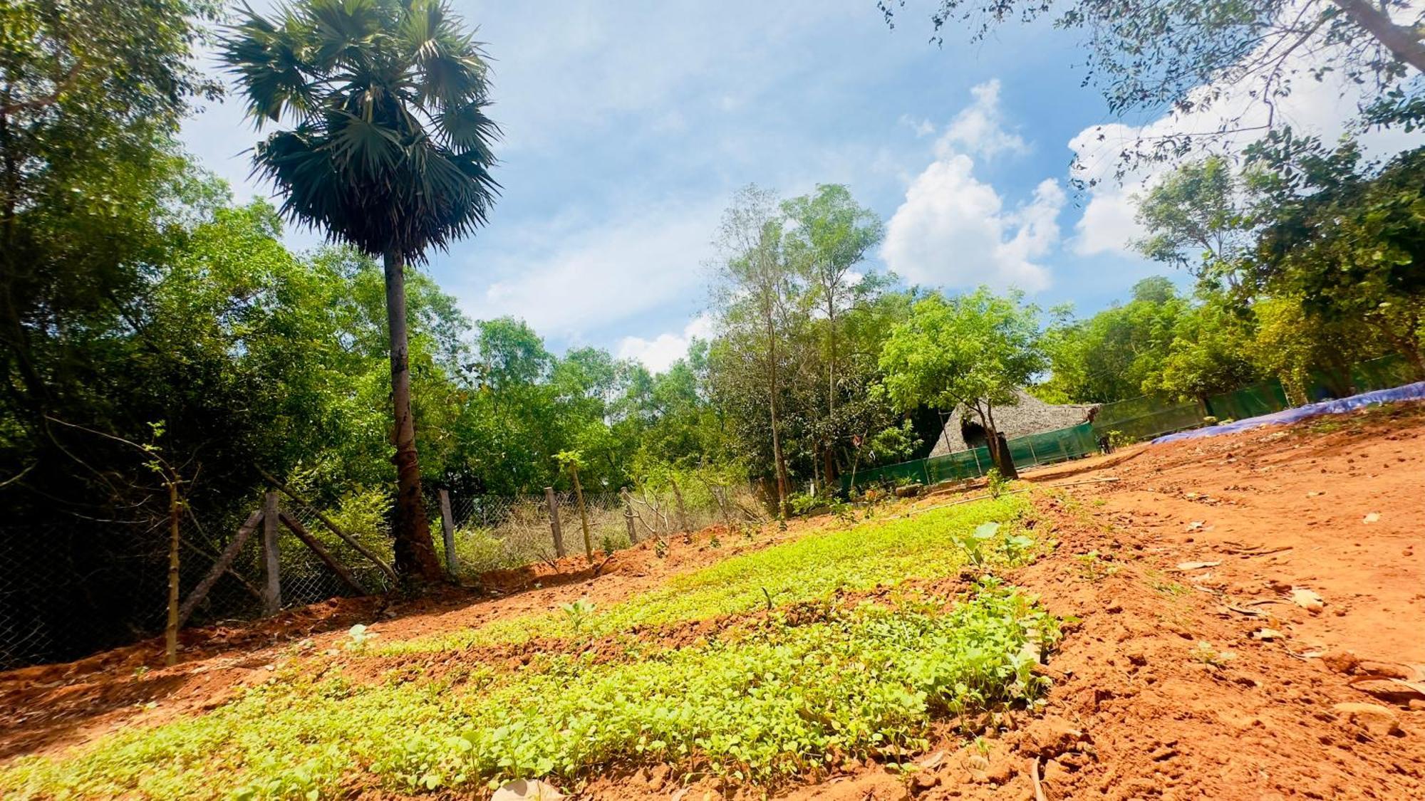 Lotus Garden Guest House Auroville Luaran gambar